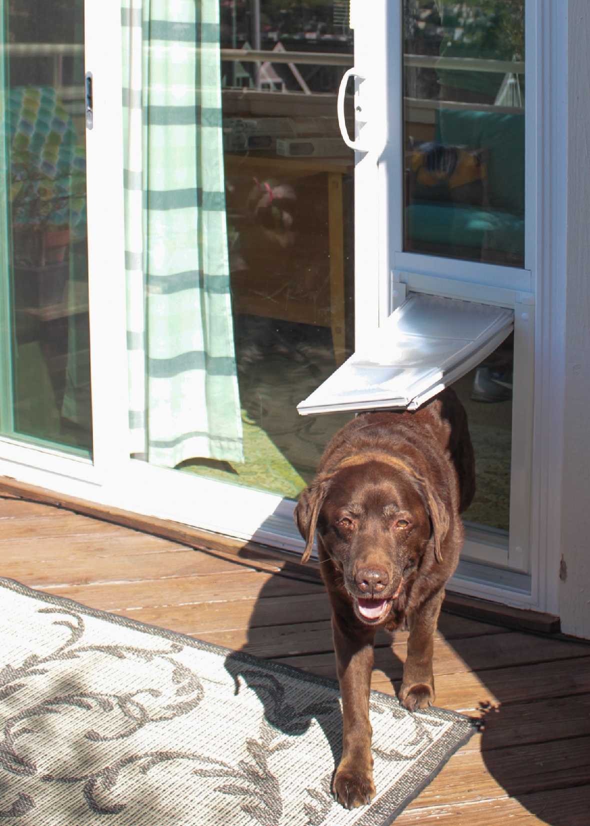 Endura Flap Custom Severe Weather Vinyl Sliding Glass Dog Door