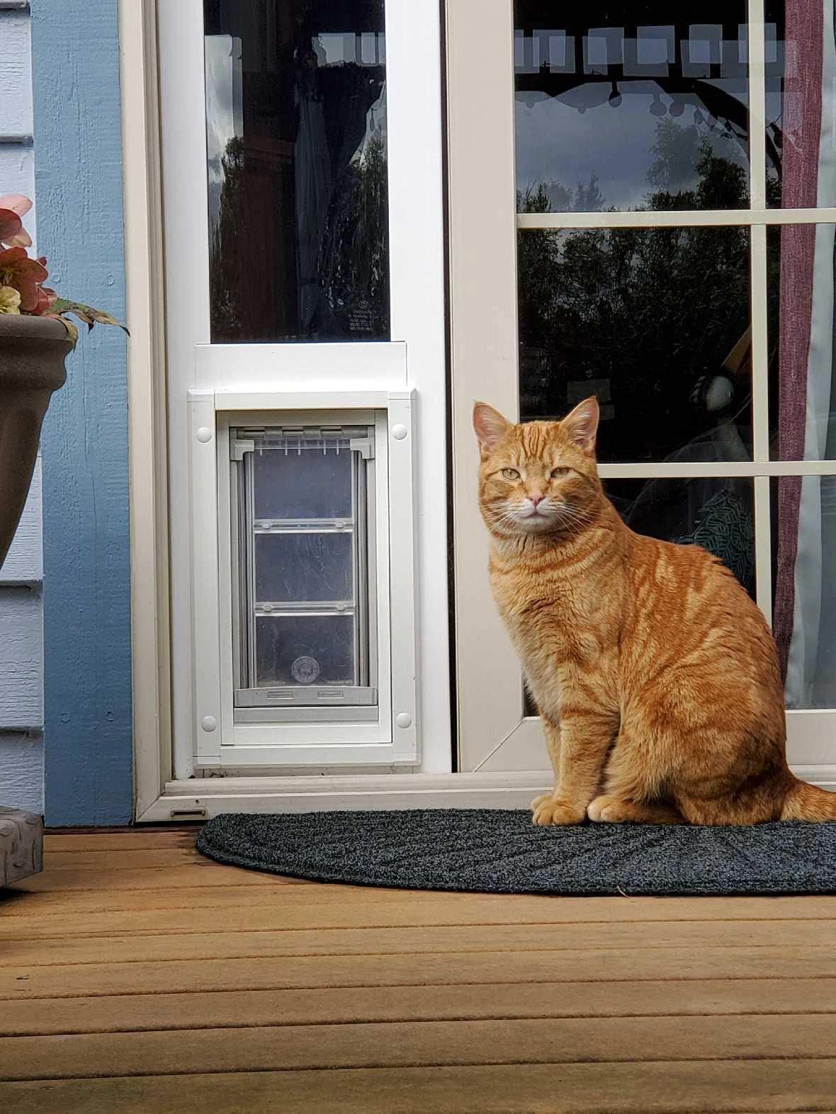 Endura Flap Cat Door for Sliding Glass Doors