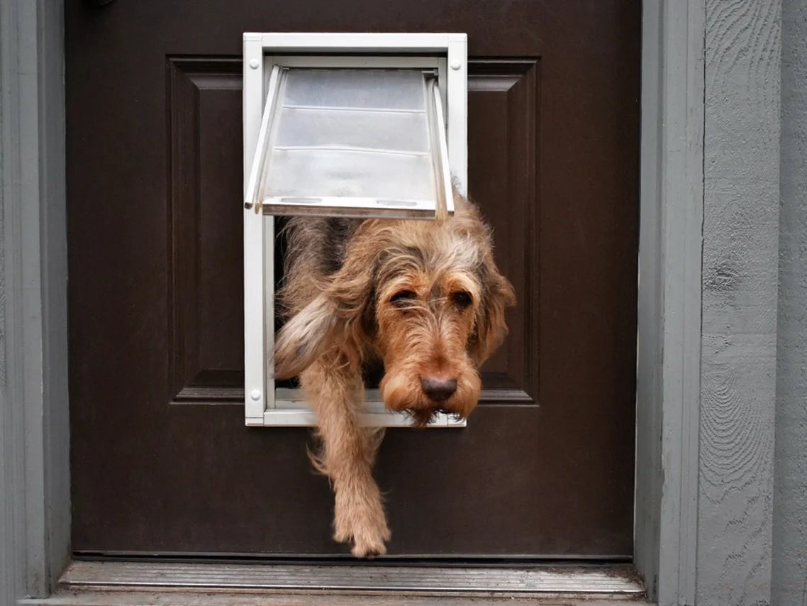 Endura Flap Single Flap Pet Door For Thin Doors