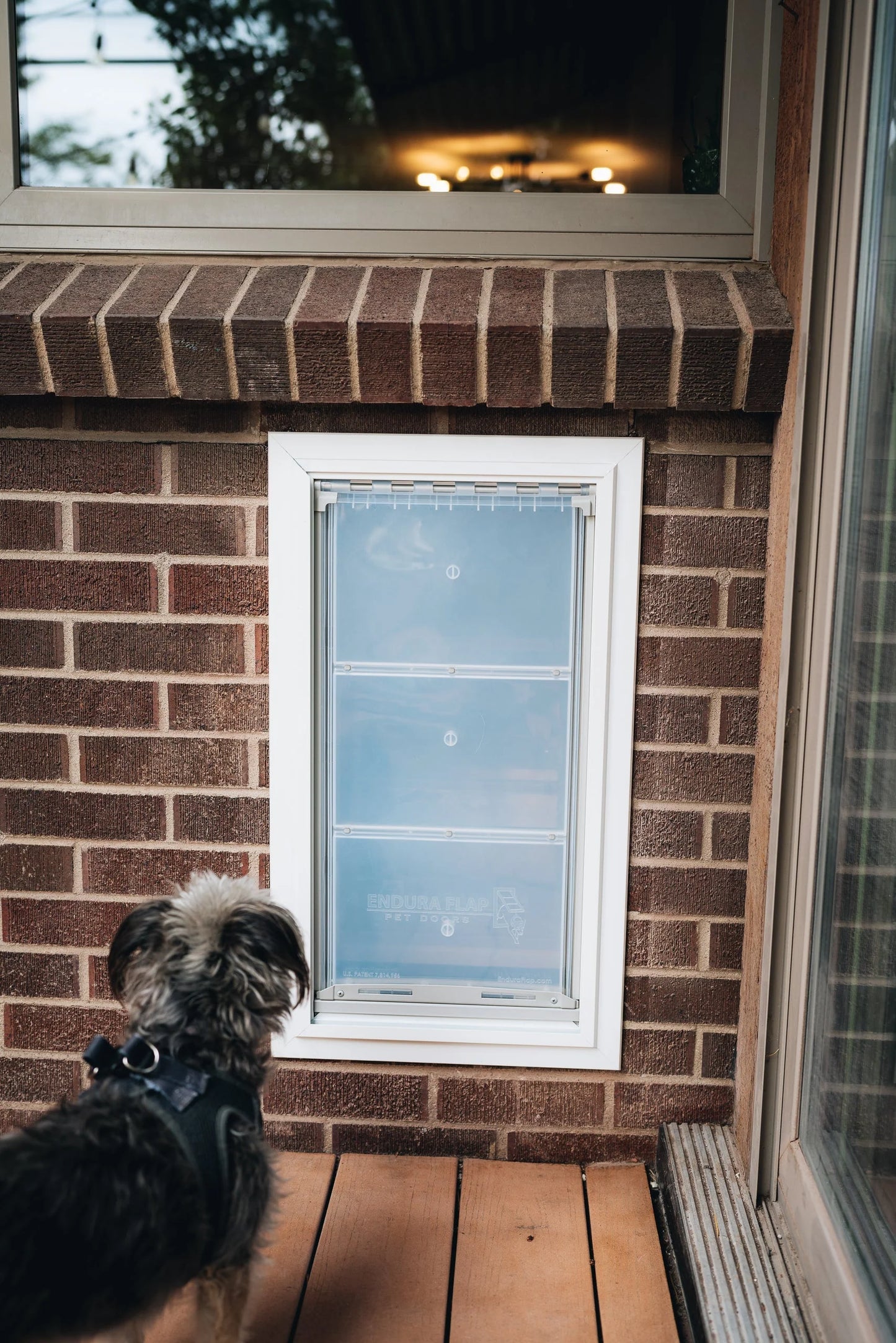 Endura Flap Dog Doors for Walls