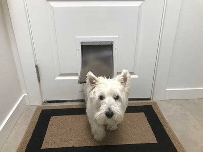 PetSafe Freedom, Plastic, and Extreme Weather Replacement Flap