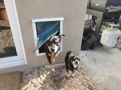 Hale Rain Cap for Pet Doors and Walls