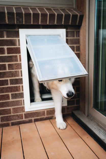 Endura Flap Dog Doors for Walls