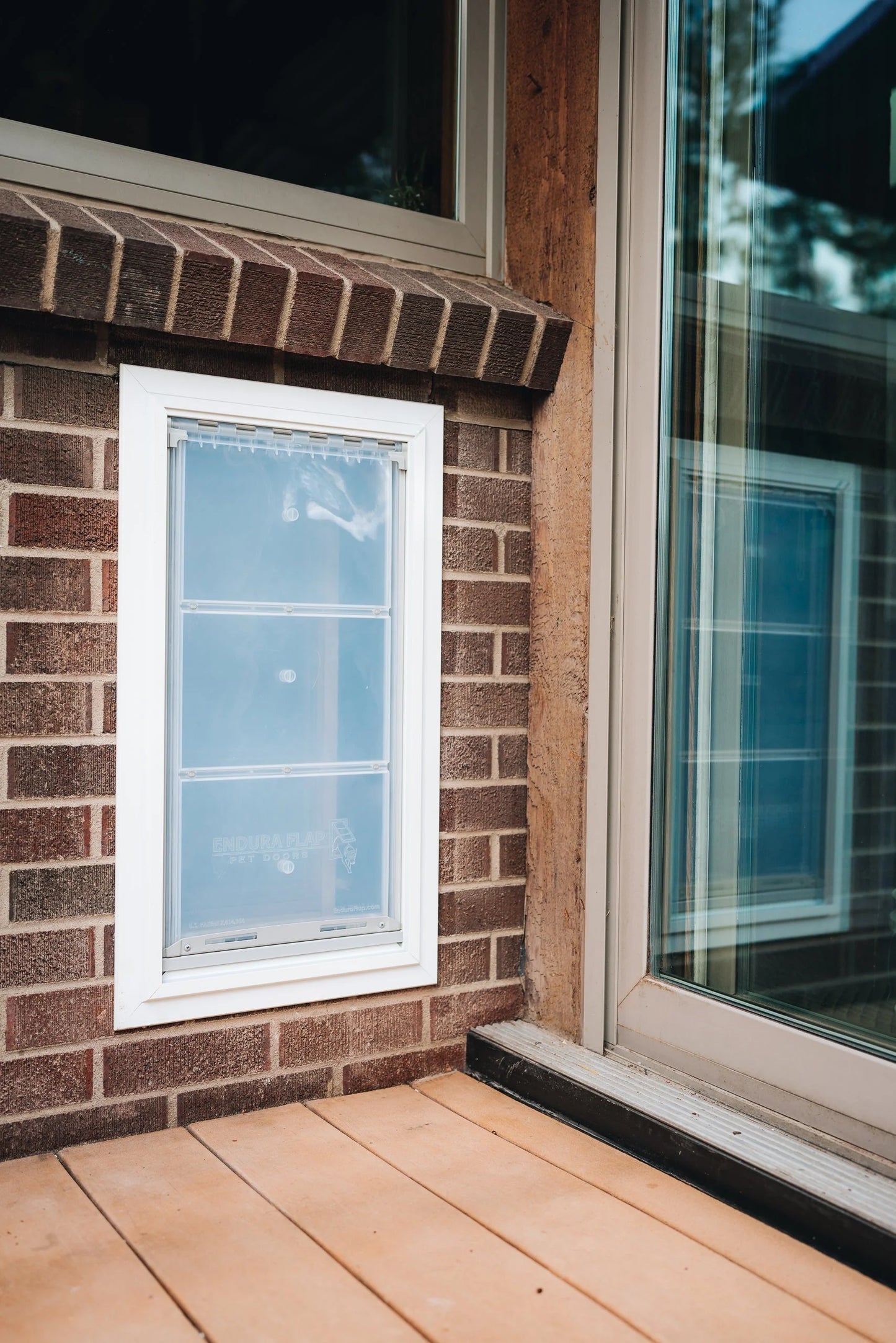 Endura Flap Dog Doors for Walls