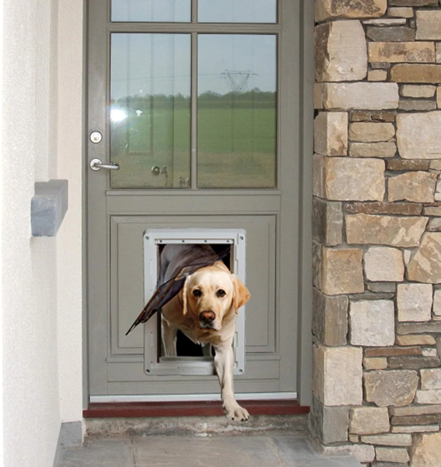 Ideal Designer Series Ruff Weather Dog Door for Walls
