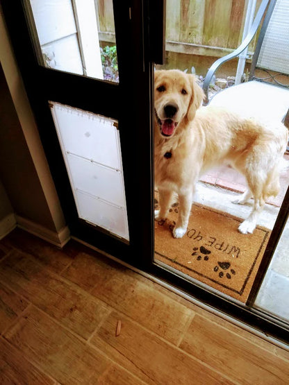 Endura Flap Thermo Panel with Dual-Pane Glass