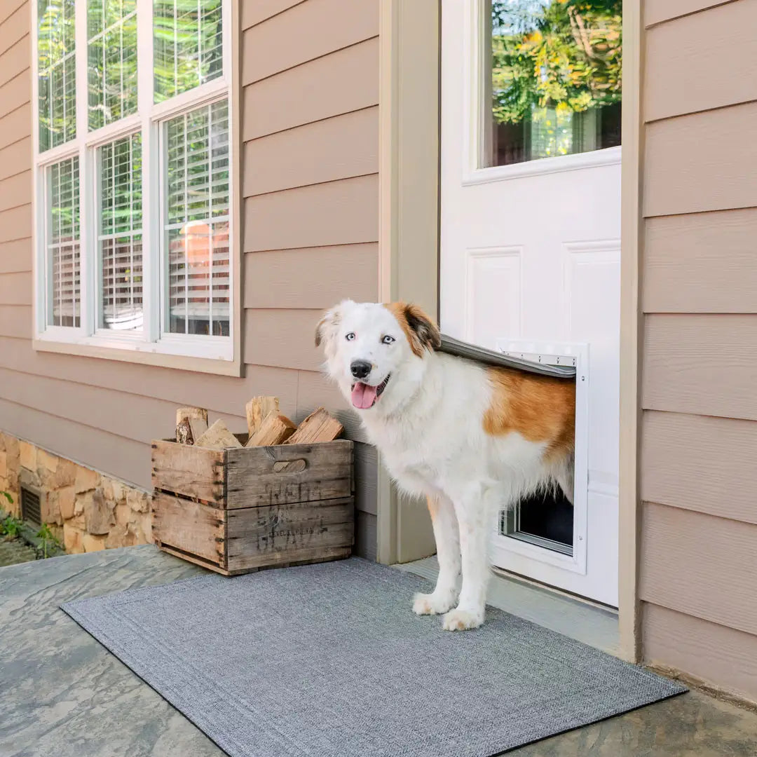 PetSafe Extreme Weather Aluminum Pet Door