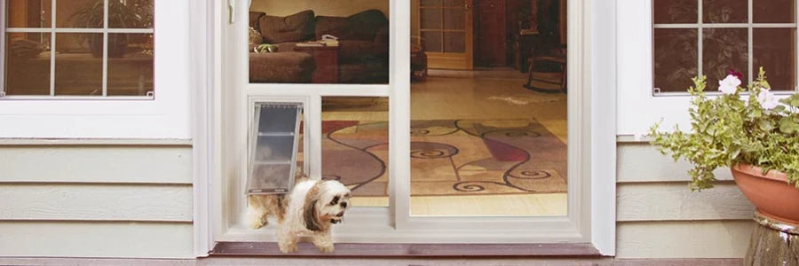 Pet Door Guys In The Glass Pet Door