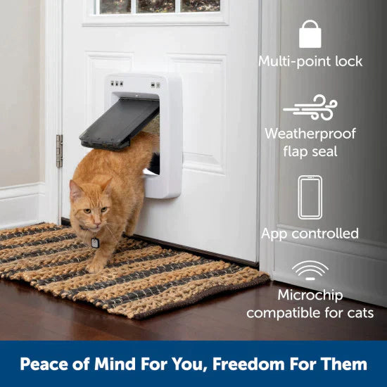 PetSafe SmartDoor Connected Pet Door for Cats and Dogs