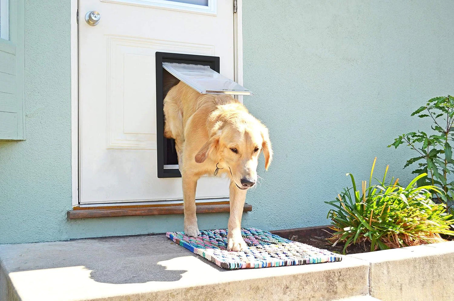 Endura Flap Single Flap Pet Door For Thin Doors