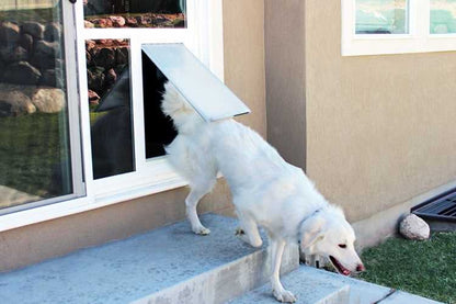Pet Door Products In The Glass Pet Door