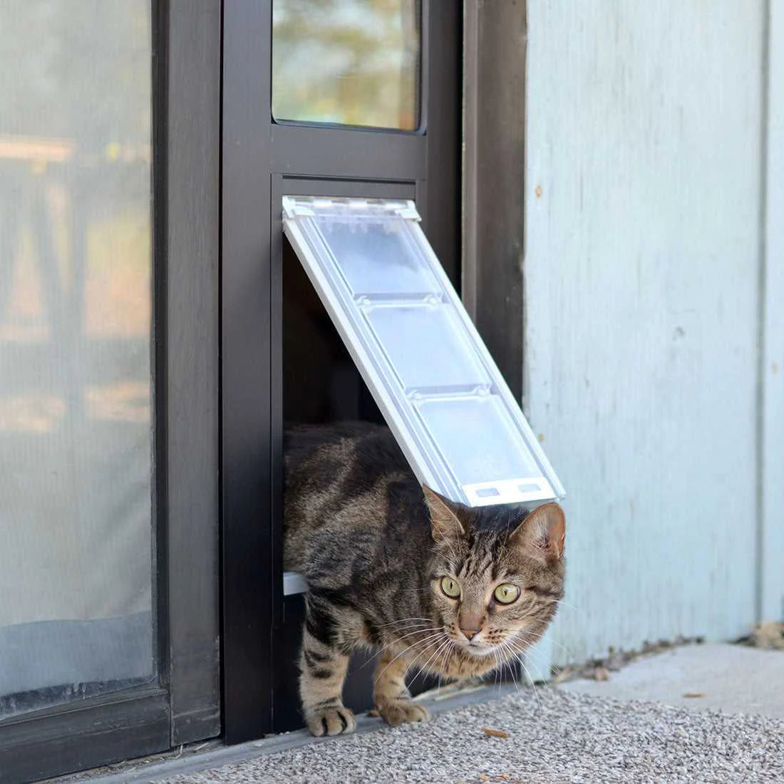 Endura Flap Cat Door for Sliding Glass Doors