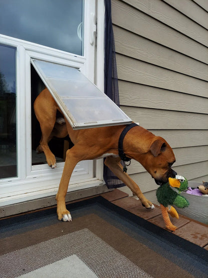 Pet Door Guys In The Glass Pet Door